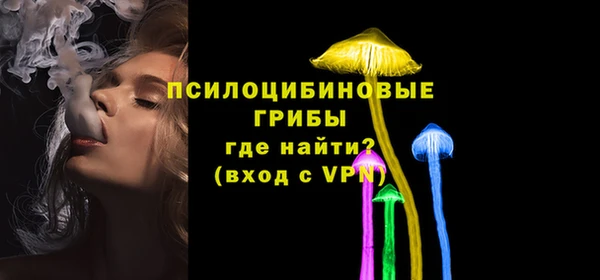 a pvp Алзамай