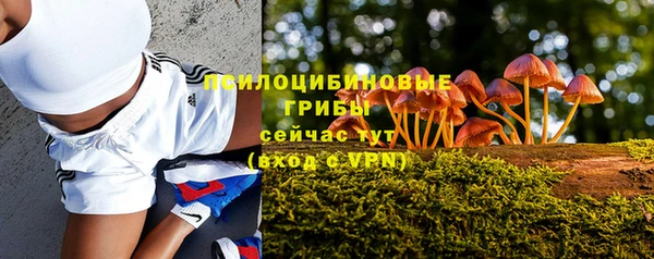 a pvp Алзамай